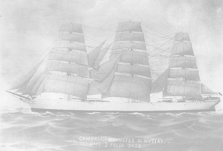 Cambrian Princess.jpg (73095 bytes)