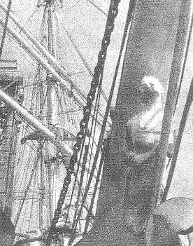 Favellin kaljuunakuva.jpg (31213 bytes)