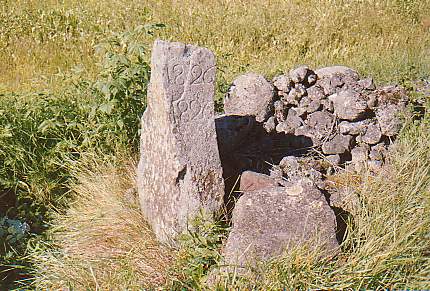 Kivi 1826.jpg (45948 bytes)