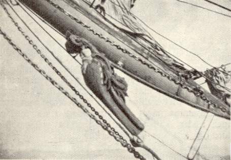 Kylemoren kaljuunakuva.jpg (25003 bytes)