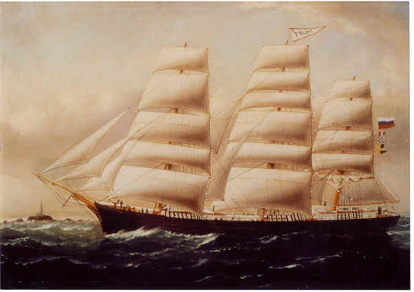 Palme .jpg (58797 bytes)