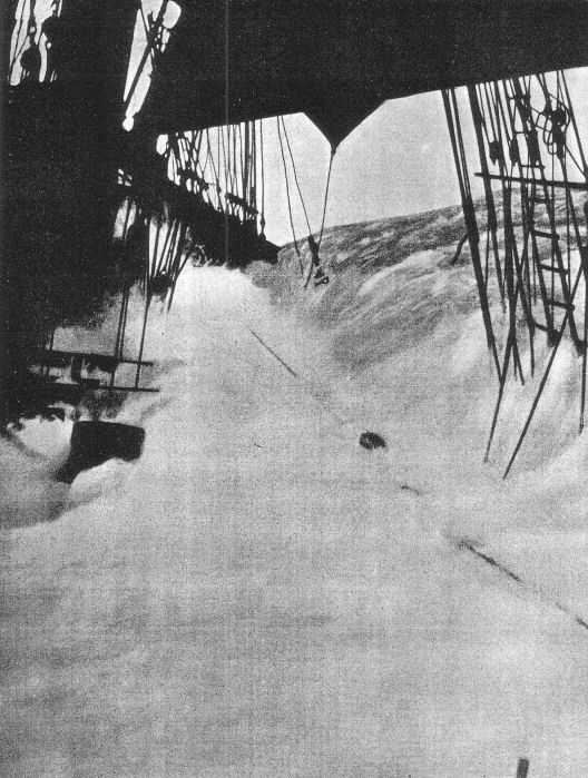 Penang Kap Hornissa.jpg (43897 bytes)