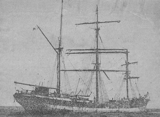 Professor Koch Montevideossa.jpg (94805 bytes)