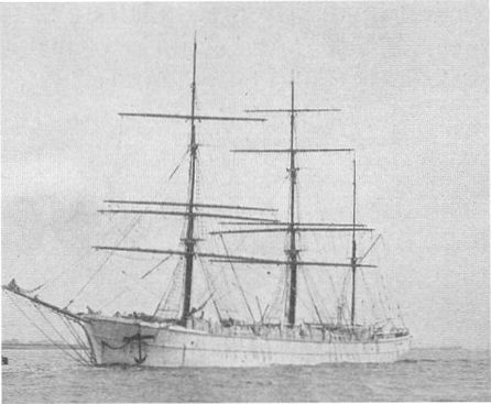 elakoon puutavaralastissa.jpg (25966 bytes)