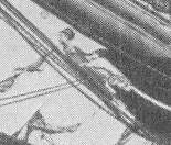 oaklandin kaljuunakuva.jpg (6332 bytes)