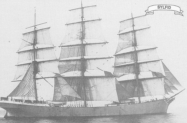 sylfid.jpg (38583 bytes)