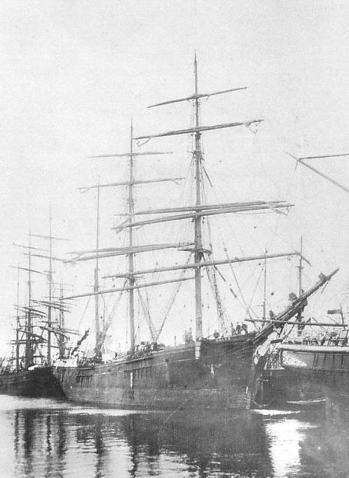 wolfe.jpg (46784 bytes)